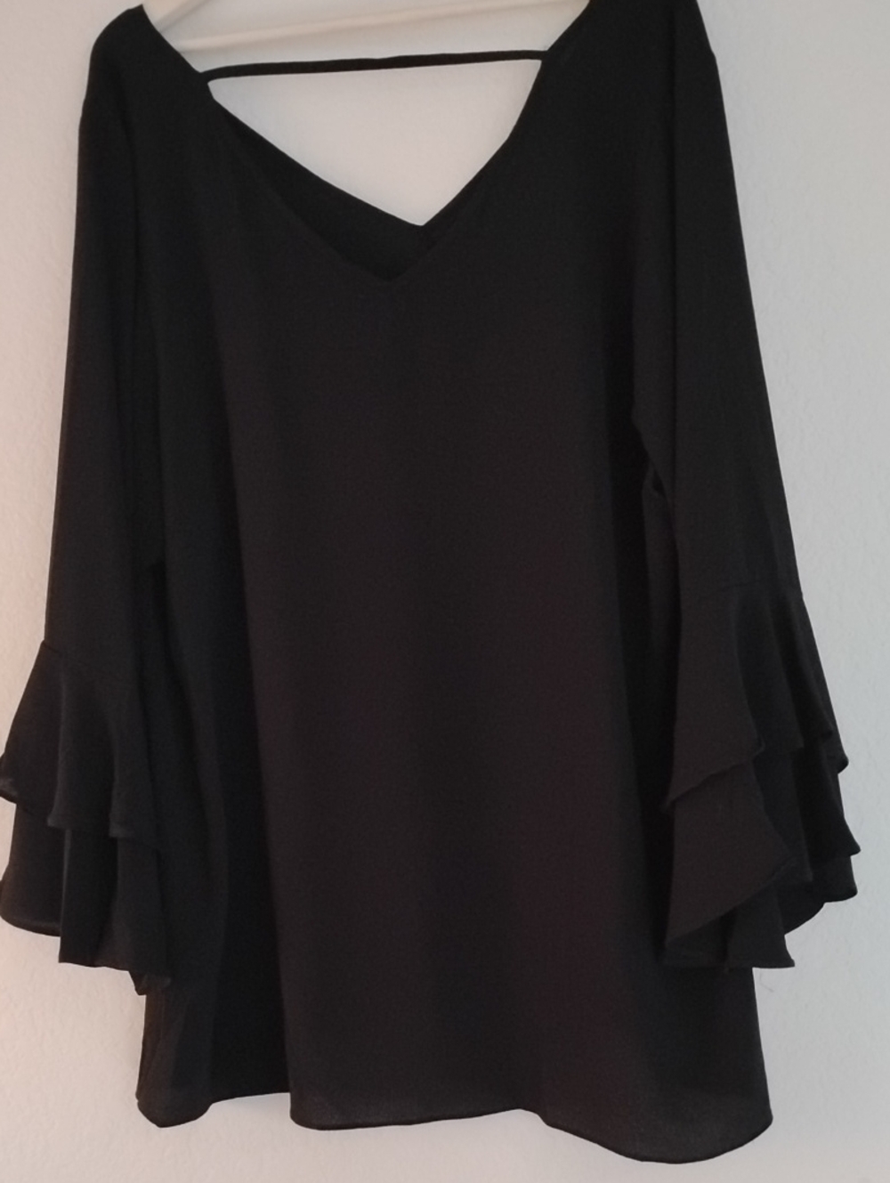 Sheer V-Neck/Back Ruffle Sleeve Blouse - Picture 9 of 9